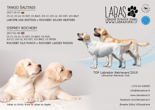 labas-su-kennel-small